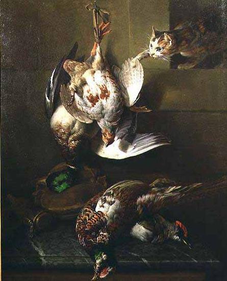 Francois Desportes A Cat Attacking Dead Game oil painting image